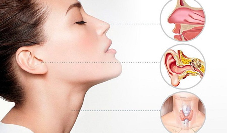 ENT (Ear, Nose & Throat)