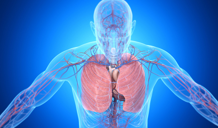 Cardiovascular and Pulmonary Disorders